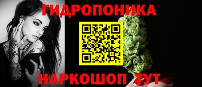 прущие крисы Дубна