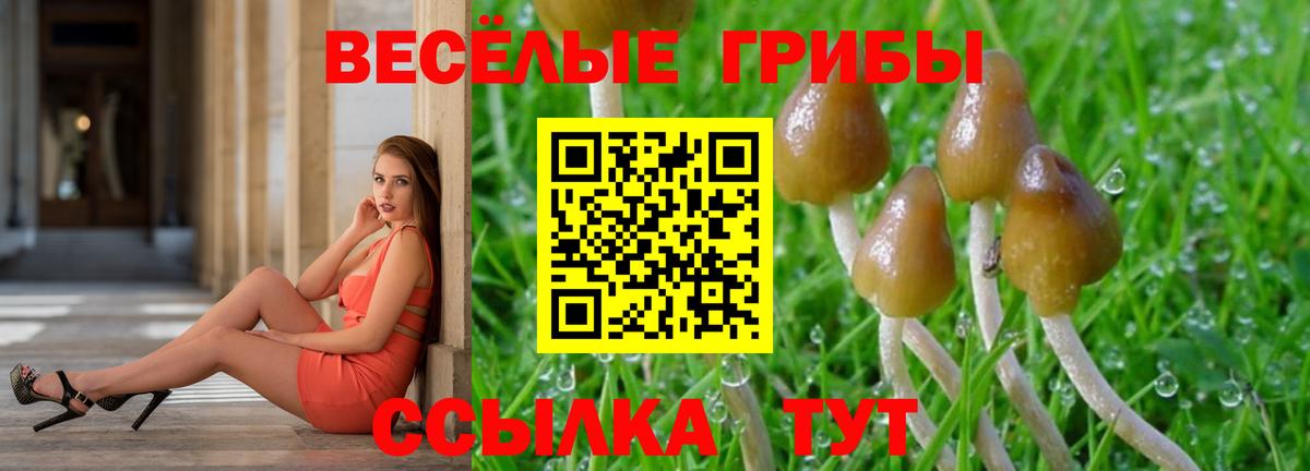 Лиски  Галлюциногенные грибы Magic Shrooms  Галлюциногенные грибы мицелий  Вход с VPN 